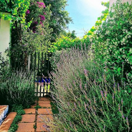 Sunny Lane Daire Franschhoek Dış mekan fotoğraf