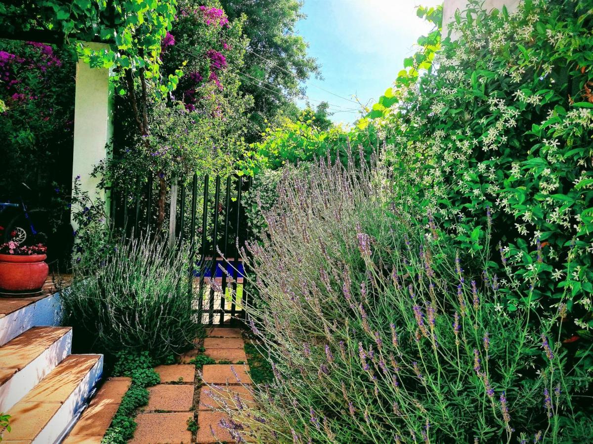 Sunny Lane Daire Franschhoek Dış mekan fotoğraf