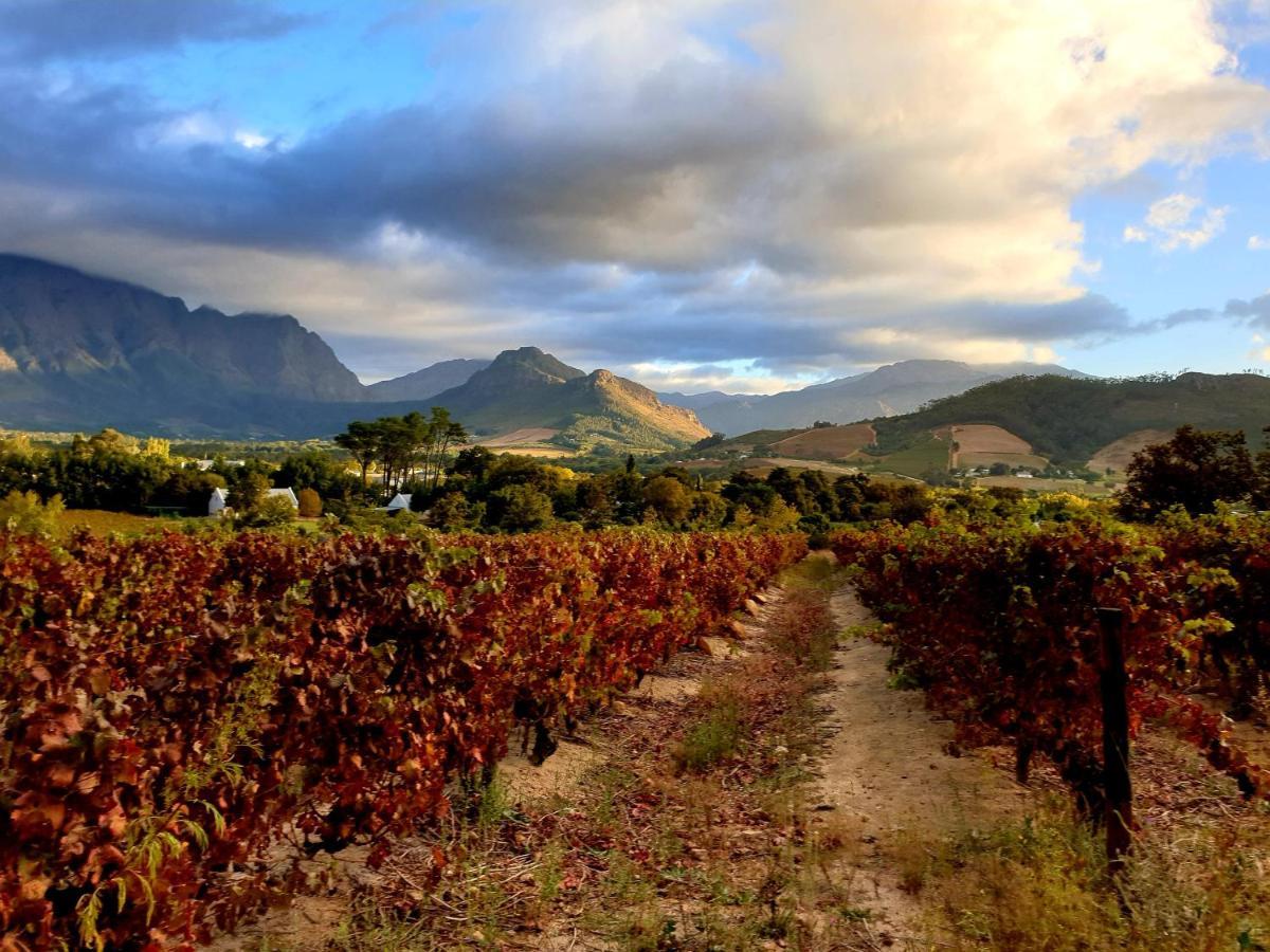 Sunny Lane Daire Franschhoek Dış mekan fotoğraf