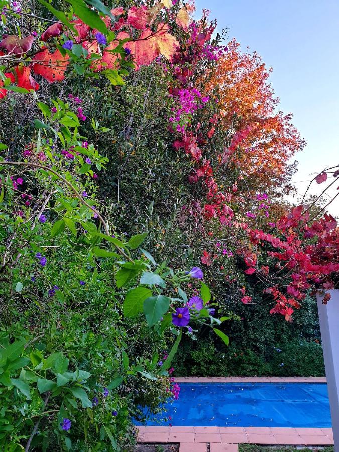 Sunny Lane Daire Franschhoek Dış mekan fotoğraf