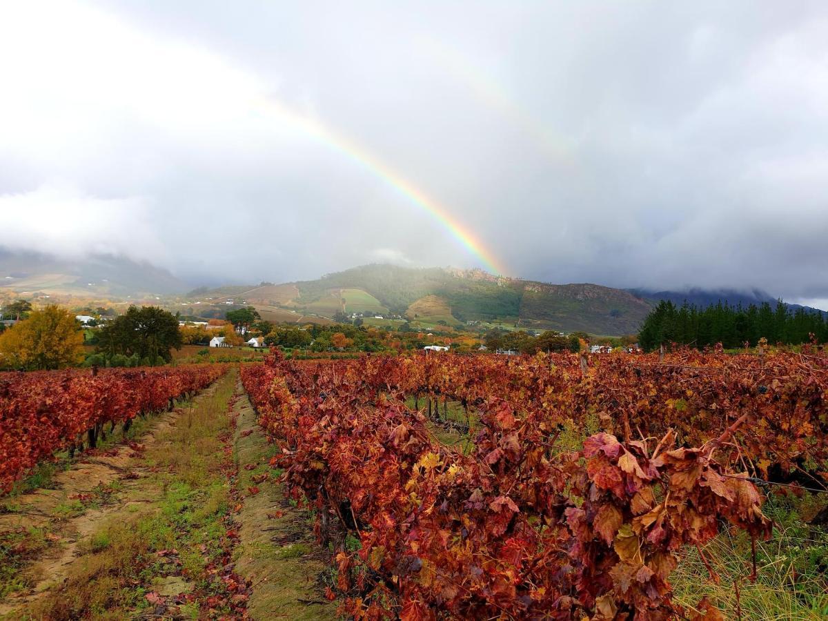 Sunny Lane Daire Franschhoek Dış mekan fotoğraf