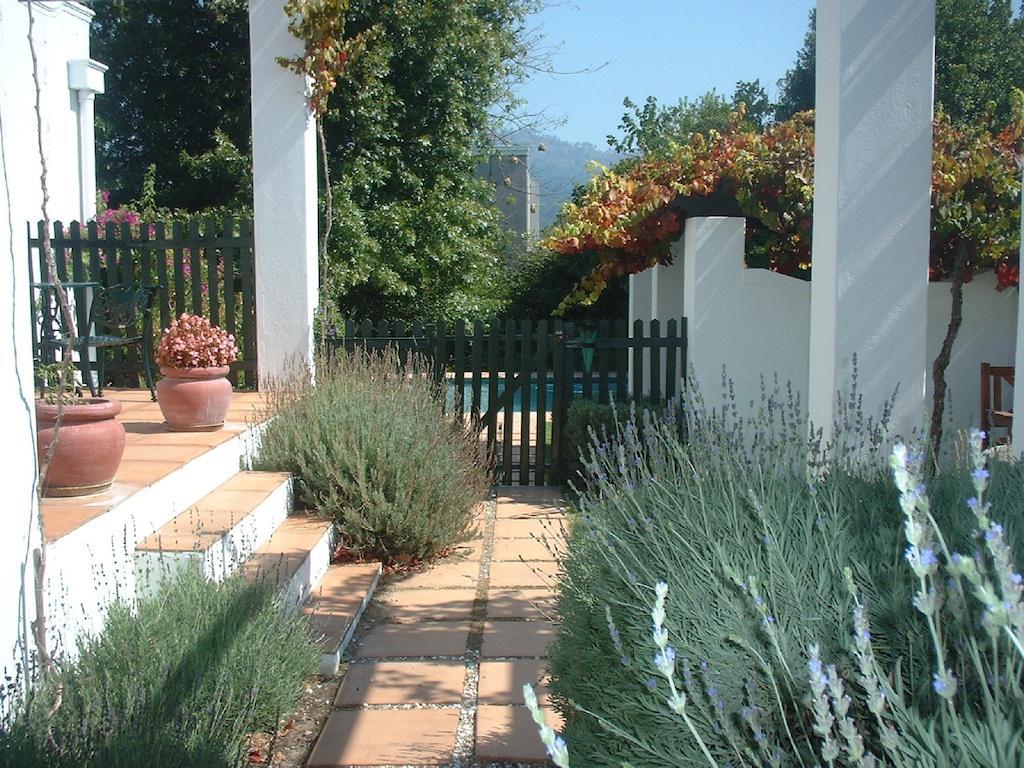 Sunny Lane Daire Franschhoek Dış mekan fotoğraf