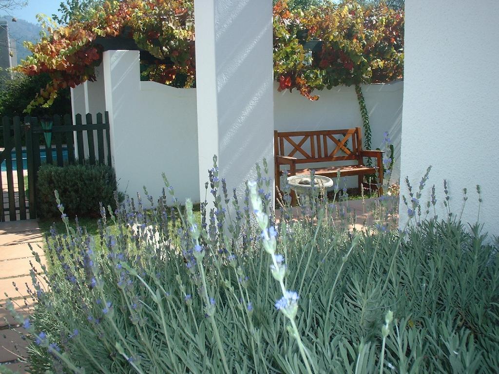 Sunny Lane Daire Franschhoek Dış mekan fotoğraf