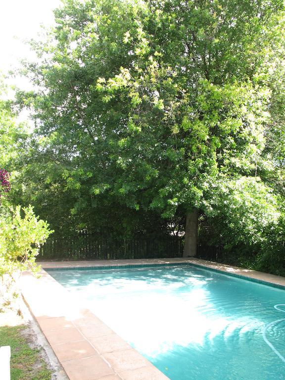 Sunny Lane Daire Franschhoek Dış mekan fotoğraf