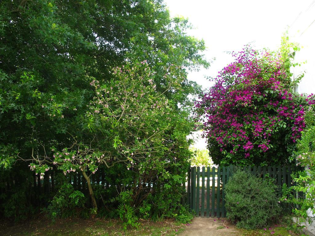 Sunny Lane Daire Franschhoek Dış mekan fotoğraf